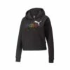 Puma ESS+ Rainbow Cropped Hoodie Womens
